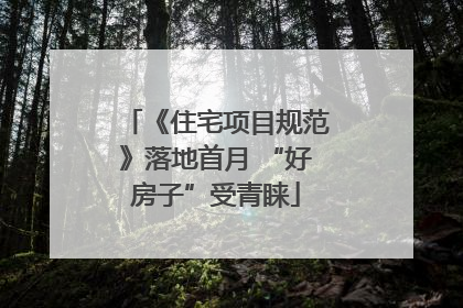 《住宅项目规范》落地首月 “好房子”受青睐