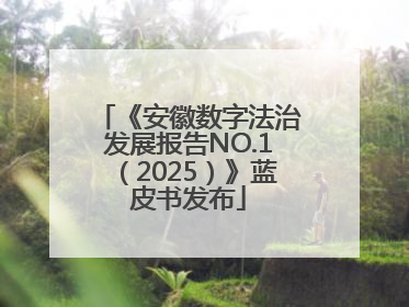 《安徽数字法治发展报告NO.1（2025）》蓝皮书发布