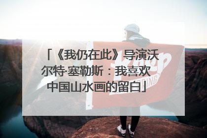《我仍在此》导演沃尔特·塞勒斯：我喜欢中国山水画的留白