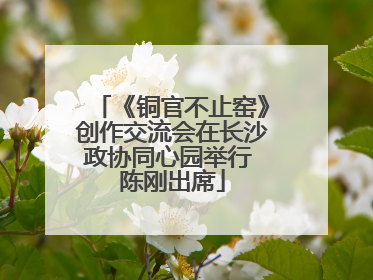 《铜官不止窑》创作交流会在长沙政协同心园举行 陈刚出席
