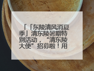 「东陵清风消夏季」清东陵暑期特别活动，“清东陵大使”招募啦！用你的热爱守护世界遗产！