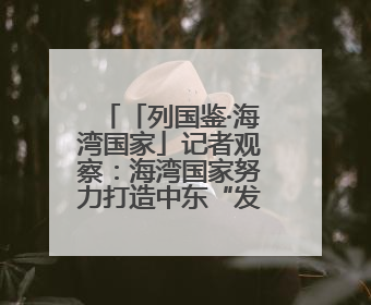 「列国鉴·海湾国家」记者观察：海湾国家努力打造中东“发展样本”