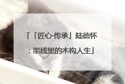 「匠心·传承」陆德怀：墨线里的木构人生