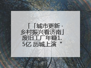 「城市更新 ·乡村振兴看济南」废旧工厂年赚1.5亿 历城上演“城市进化论”