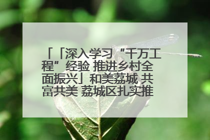 「深入学习“千万工程”经验 推进乡村全面振兴」和美荔城 共富共美 荔城区扎实推进乡村振兴工作