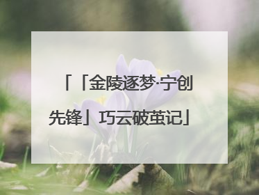 「金陵逐梦·宁创先锋」巧云破茧记