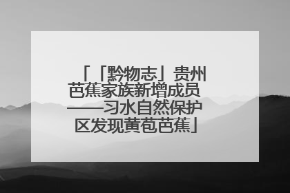 「黔物志」贵州芭蕉家族新增成员——习水自然保护区发现黄苞芭蕉