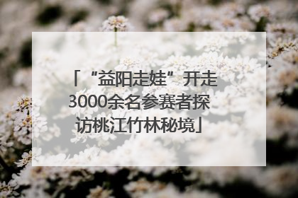 “益阳走娃”开走 3000余名参赛者探访桃江竹林秘境