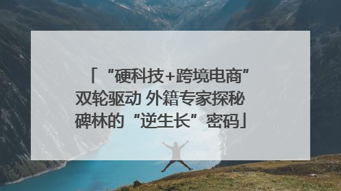 “硬科技+跨境电商”双轮驱动 外籍专家探秘碑林的“逆生长”密码