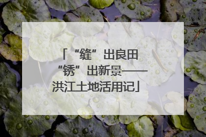 “缝”出良田 “锈”出新景——洪江土地活用记