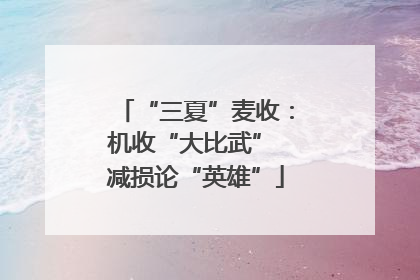 “三夏”麦收：机收“大比武” 减损论“英雄”