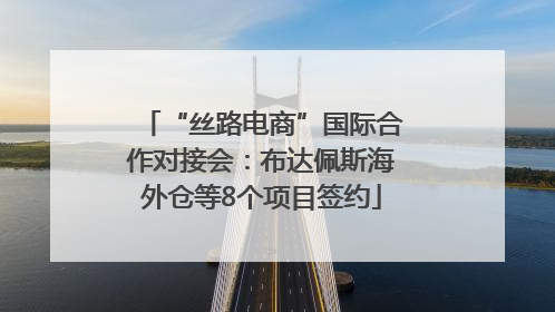 “丝路电商”国际合作对接会：布达佩斯海外仓等8个项目签约