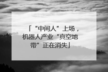 “中间人”上场，机器人产业“真空地带”正在消失