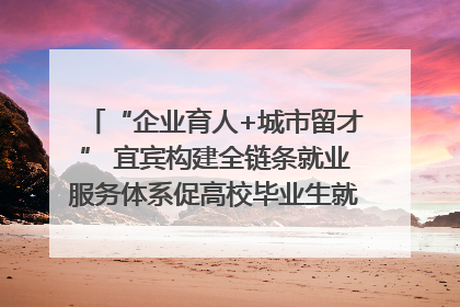 “企业育人+城市留才” 宜宾构建全链条就业服务体系促高校毕业生就业｜您牵挂的四川