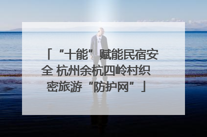 “十能”赋能民宿安全 杭州余杭四岭村织密旅游“防护网”