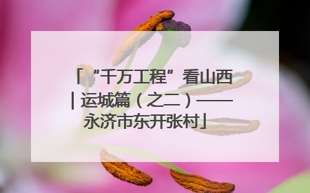 “千万工程”看山西｜运城篇（之二）——永济市东开张村