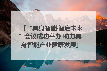 “具身智能·智启未来”会议成功举办 助力具身智能产业健康发展