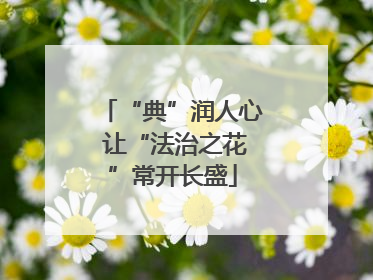 “典”润人心 让“法治之花”常开长盛