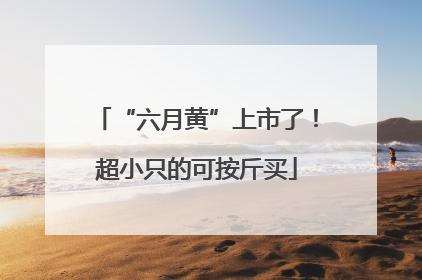 “六月黄”上市了！超小只的可按斤买