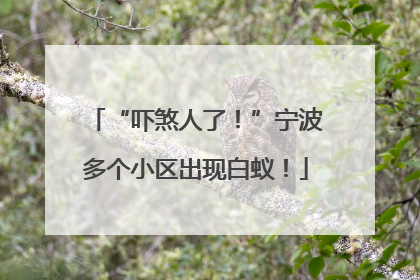 “吓煞人了！”宁波多个小区出现白蚁！