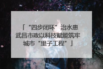 “四步闭环”治水患 武昌市政以科技赋能筑牢城市“里子工程”