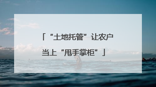 “土地托管”让农户当上“甩手掌柜”