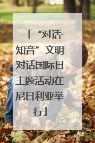 “对话·知音”文明对话国际日主题活动在尼日利亚举行