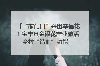 “家门口”采出幸福花！宝丰县金银花产业激活乡村“造血”功能