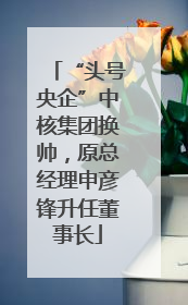 “头号央企”中核集团换帅，原总经理申彦锋升任董事长