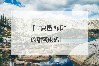 “夏邑西瓜”的甜蜜密码