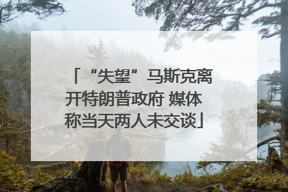 “失望”马斯克离开特朗普政府 媒体称当天两人未交谈
