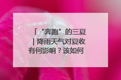 “奔跑”的三夏｜降雨天气对夏收有何影响？该如何防范？一文了解