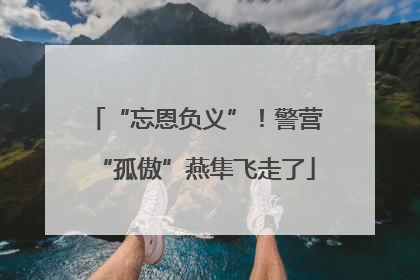 “忘恩负义”！警营“孤傲”燕隼飞走了