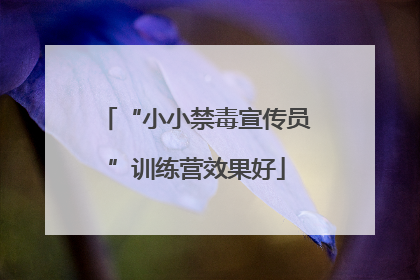 “小小禁毒宣传员”训练营效果好