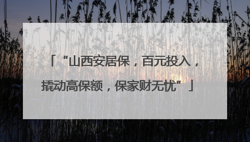 “山西安居保，百元投入，撬动高保额，保家财无忧”