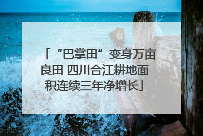 “巴掌田”变身万亩良田 四川合江耕地面积连续三年净增长