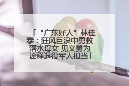 “广东好人”林佳泰：狂风巨浪中勇救落水母女 见义勇为诠释退役军人担当