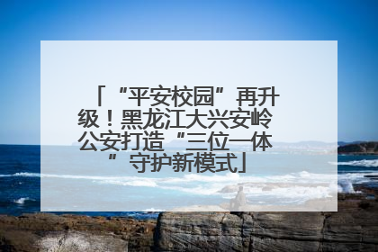 “平安校园”再升级！黑龙江大兴安岭公安打造“三位一体”守护新模式