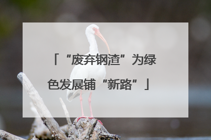 “废弃钢渣”为绿色发展铺“新路”