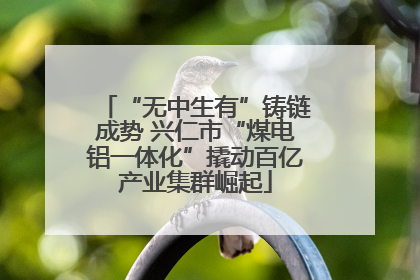 “无中生有”铸链成势 兴仁市“煤电铝一体化”撬动百亿产业集群崛起