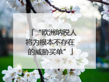 “欧洲纳税人将为根本不存在的威胁买单”