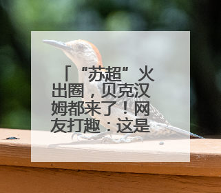 “苏超”火出圈，贝克汉姆都来了！网友打趣：这是名师一对一
