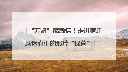 “苏超”燃激情！走进宿迁球迷心中的那片“绿茵”