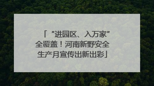 “进园区、入万家”全覆盖！河南新野安全生产月宣传出新出彩