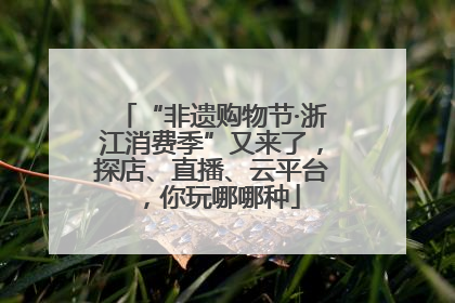 “非遗购物节·浙江消费季”又来了，探店、直播、云平台，你玩哪哪种