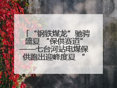 “钢铁煤龙”驰骋盛夏 “保供赛道”——七台河站电煤保供跑出迎峰度夏 “加速度”