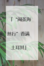 “闽茶海丝行”香满土耳其