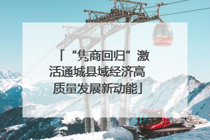 “隽商回归”激活通城县域经济高质量发展新动能