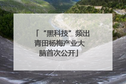 “黑科技”频出 青田杨梅产业大脑首次公开