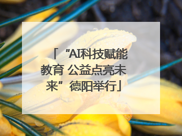 “AI科技赋能教育 公益点亮未来”德阳举行